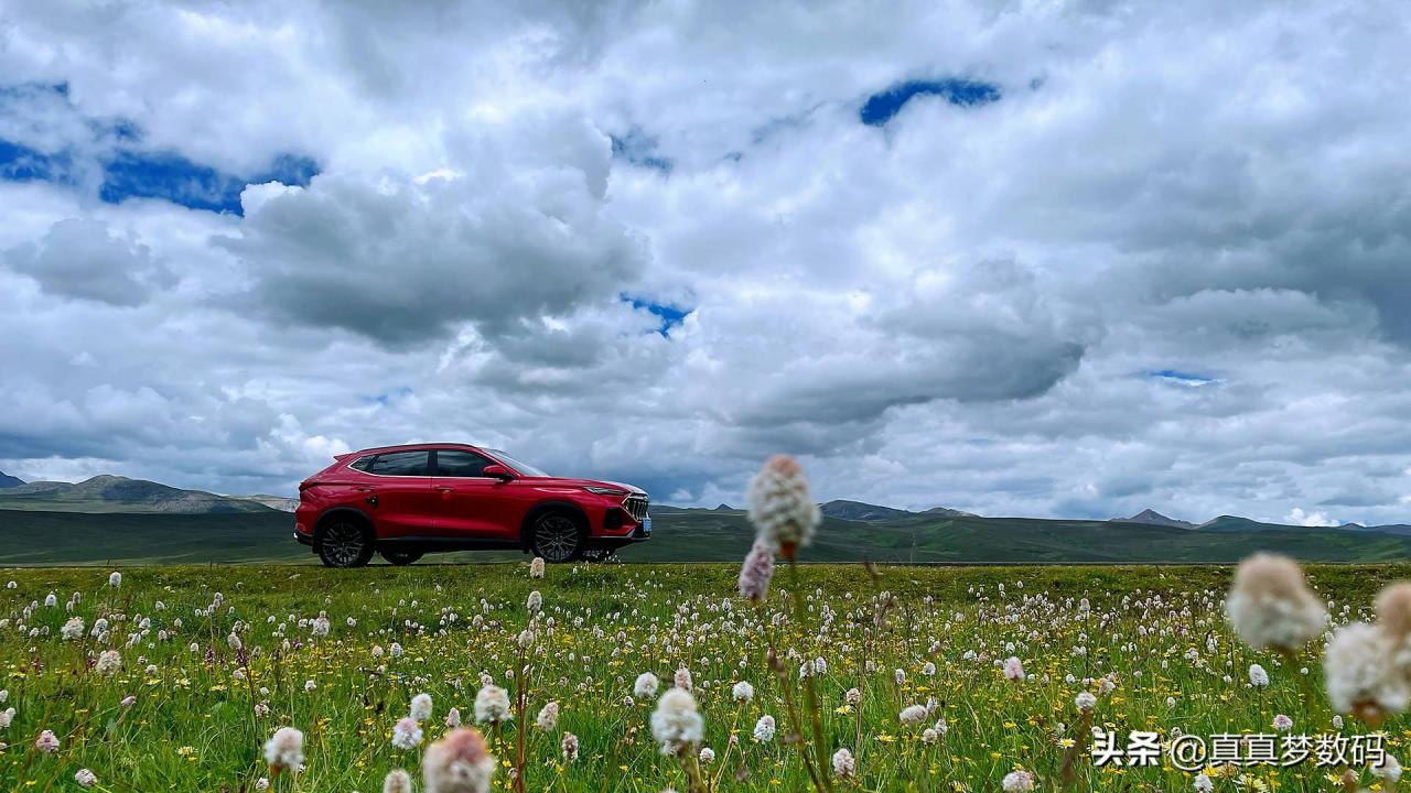 自驾游去西藏(2021西藏自驾游)