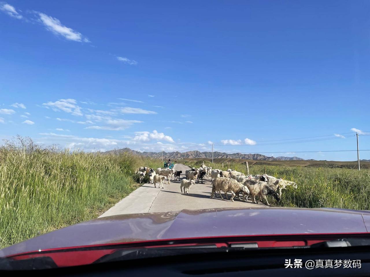 自驾游去西藏(2021西藏自驾游)