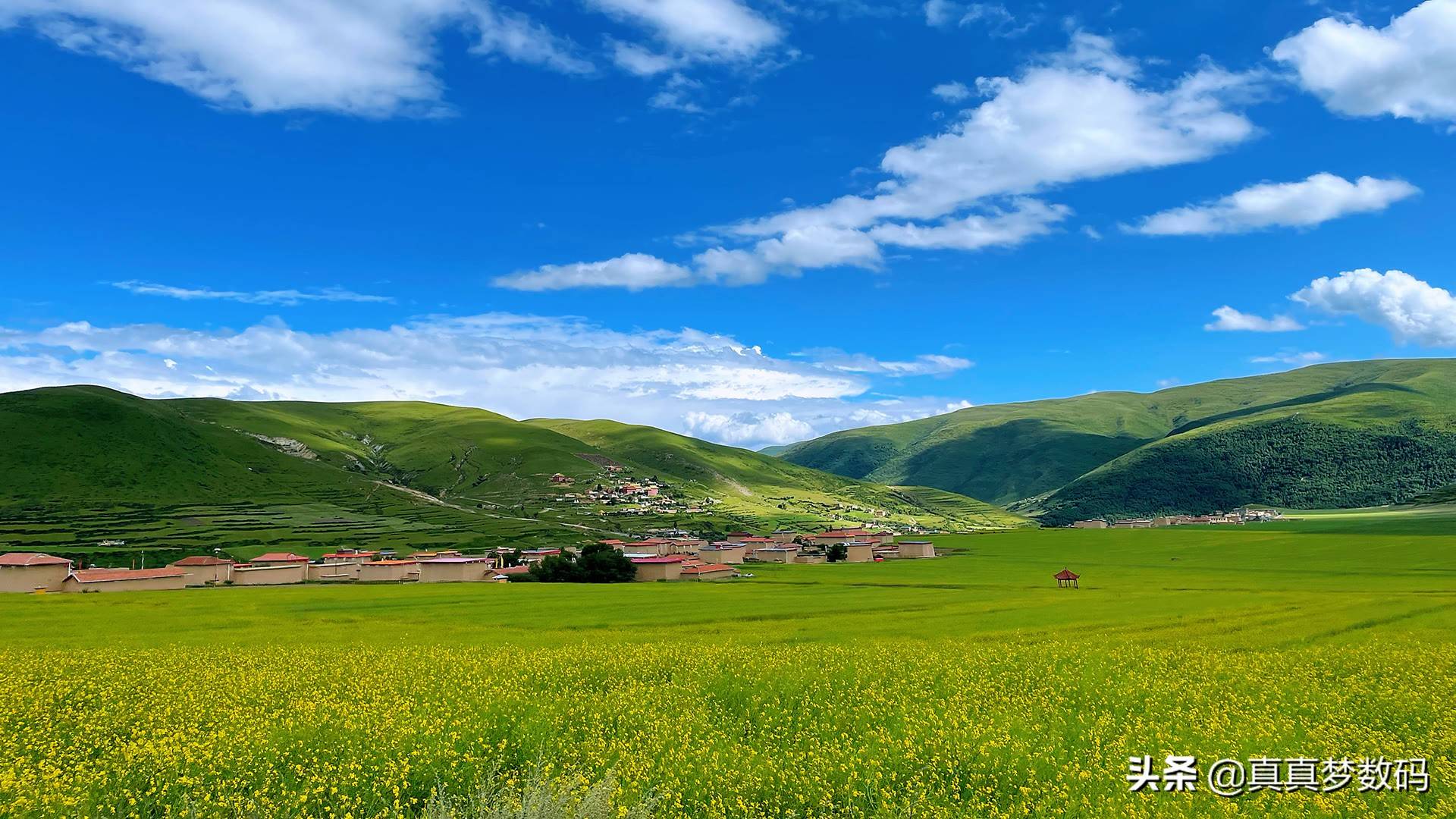 自驾游去西藏(2021西藏自驾游)