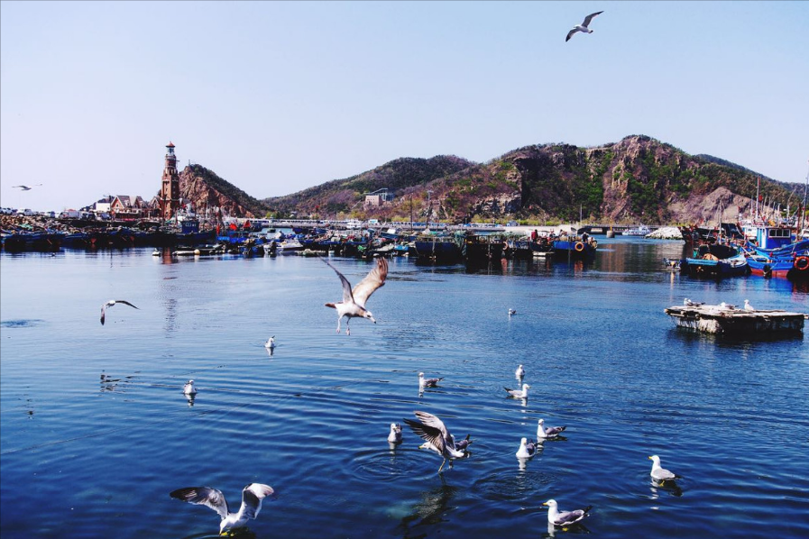 大连自助游（大连旅游必去的几个景点）