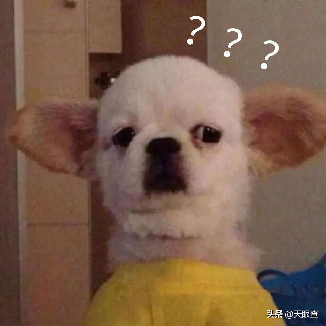 中国交友网(中国第一社交网站“人人网”)