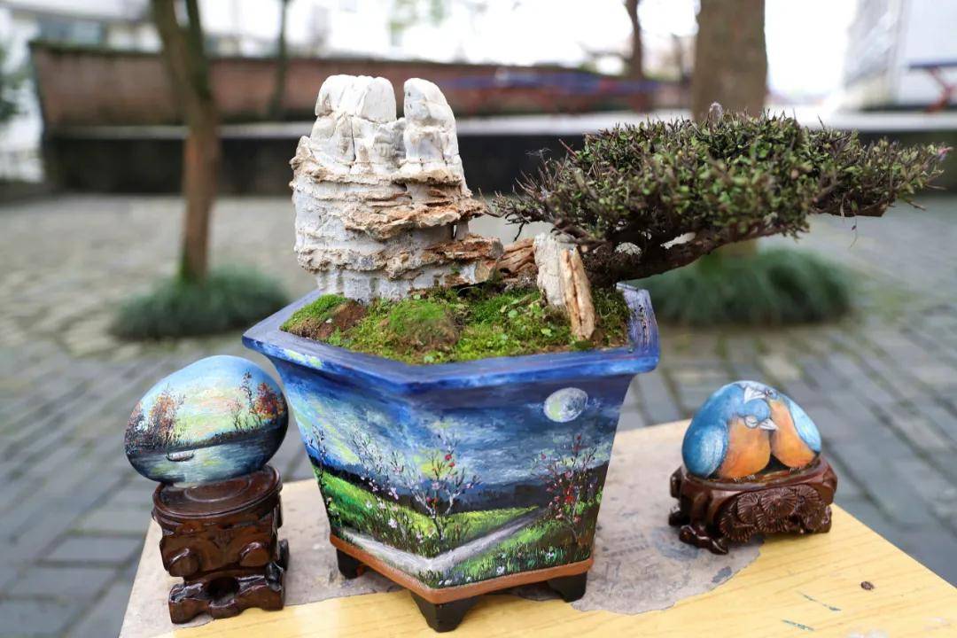 兴文中学(兴文中学这展览好独特)