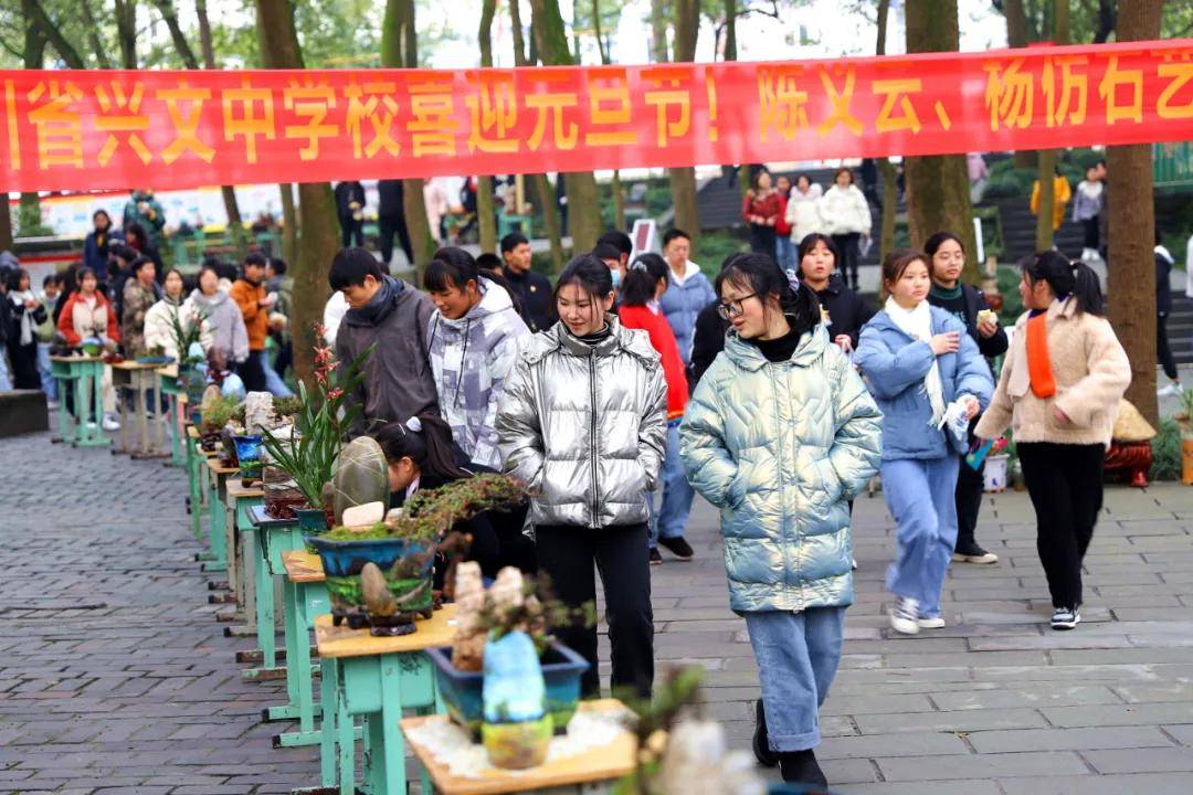 兴文中学(兴文中学这展览好独特)