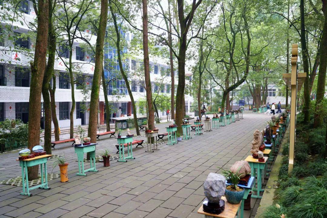 兴文中学(兴文中学这展览好独特)