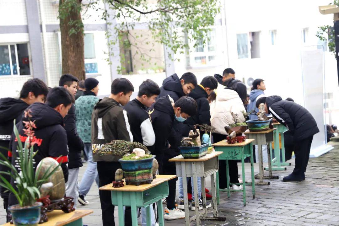 兴文中学(兴文中学这展览好独特)