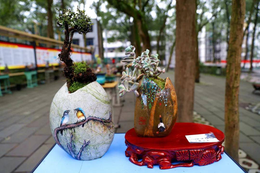 兴文中学(兴文中学这展览好独特)