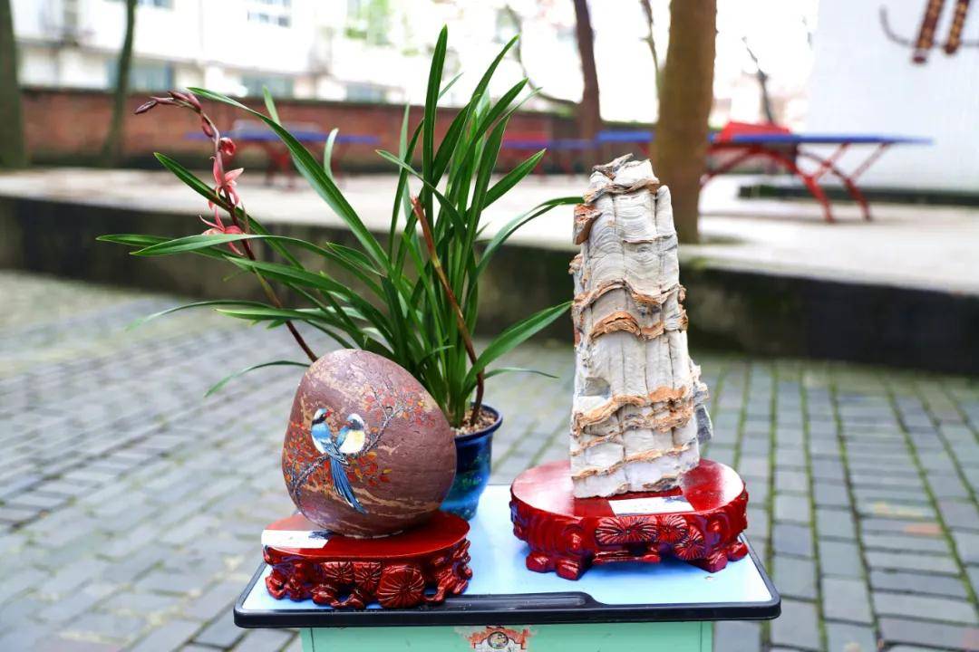 兴文中学(兴文中学这展览好独特)