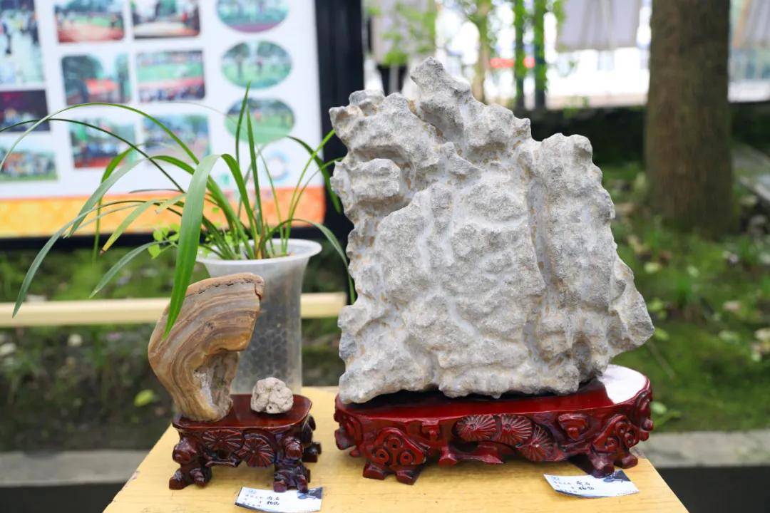 兴文中学(兴文中学这展览好独特)