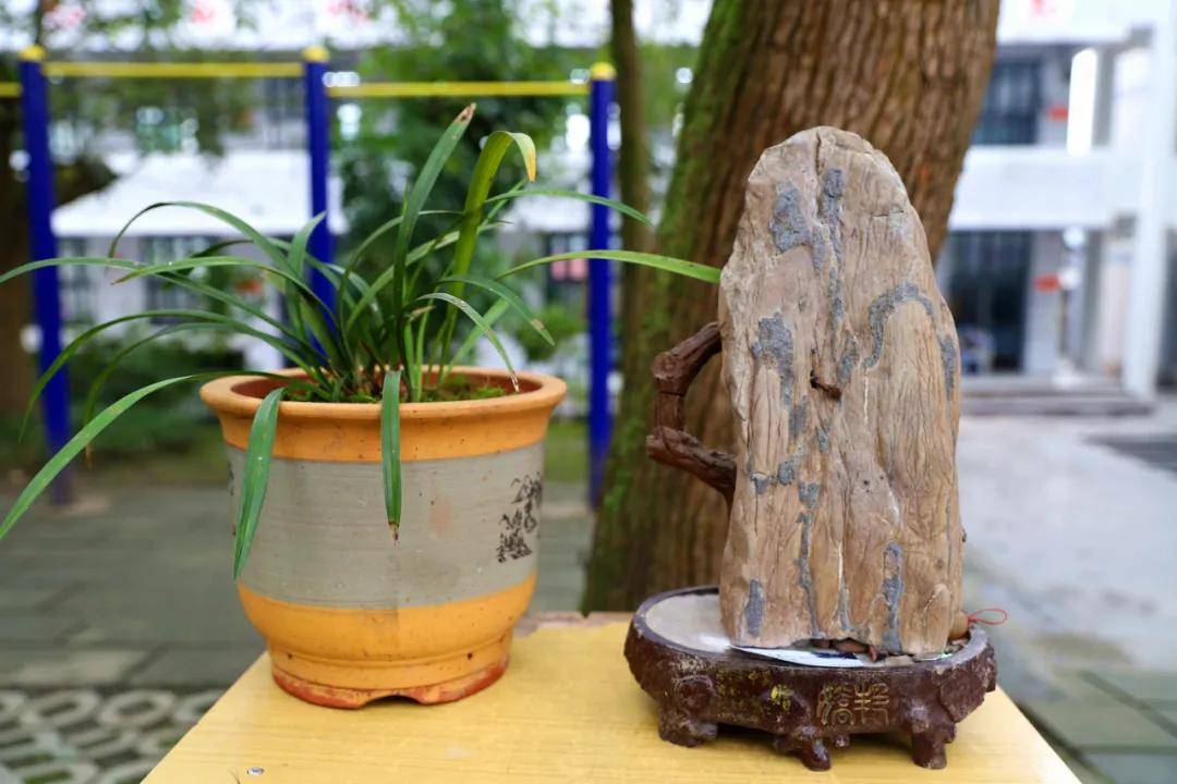 兴文中学(兴文中学这展览好独特)