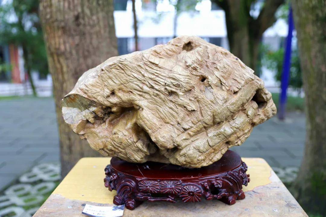 兴文中学(兴文中学这展览好独特)