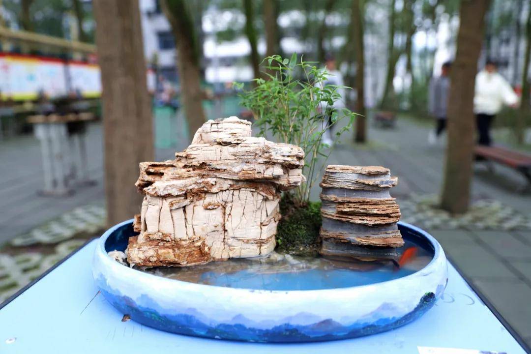 兴文中学(兴文中学这展览好独特)