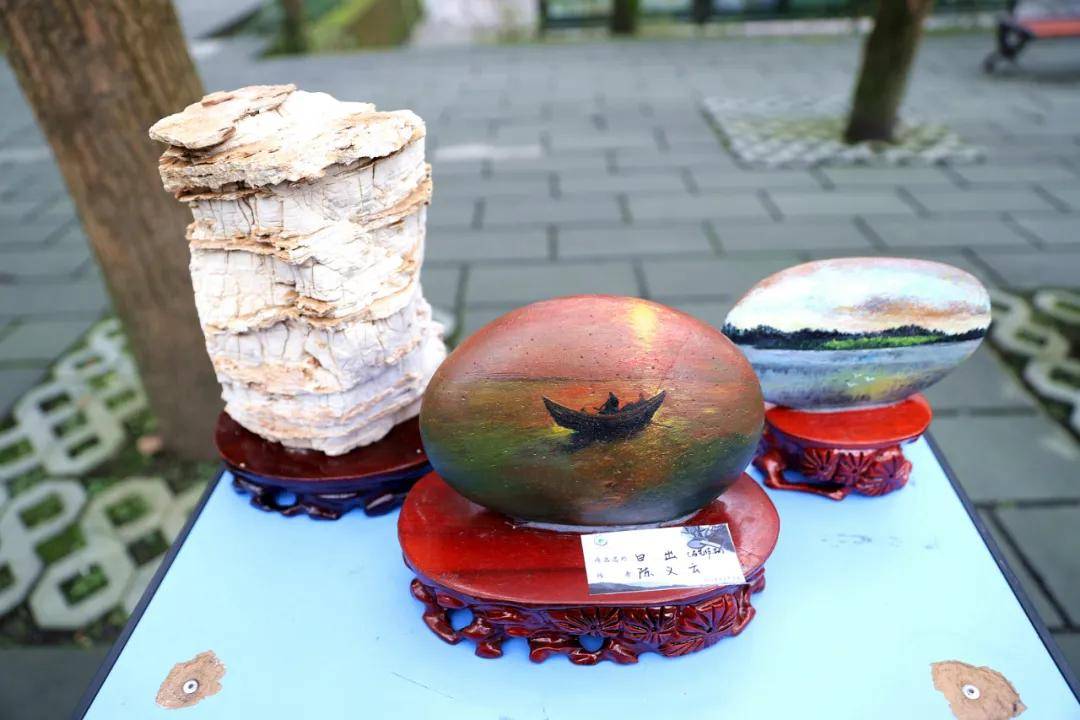 兴文中学(兴文中学这展览好独特)