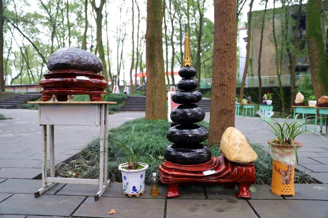 兴文中学(兴文中学这展览好独特)