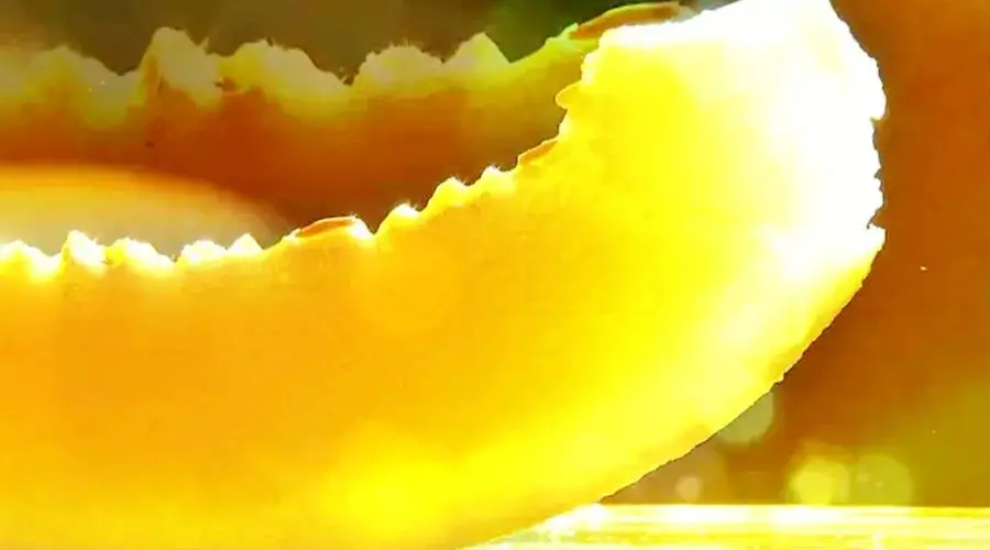 哈密旅游(哈密全攻略)