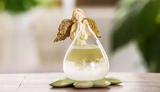 预言小帮手(看这个神器的预言小工具!)