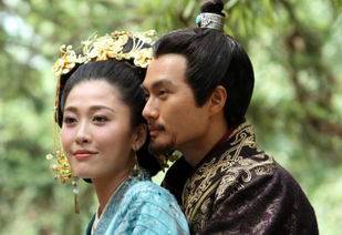 卫青与平阳公主(卫青喜欢平阳公主吗?)