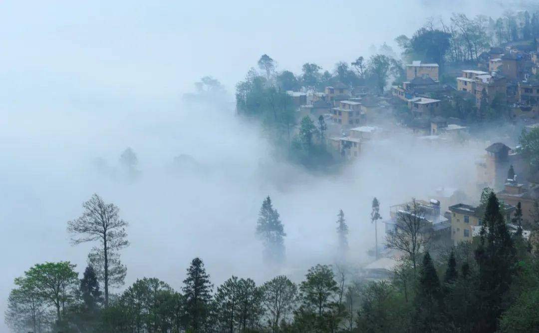 冬天的诗句有哪些(8首早冬诗词)