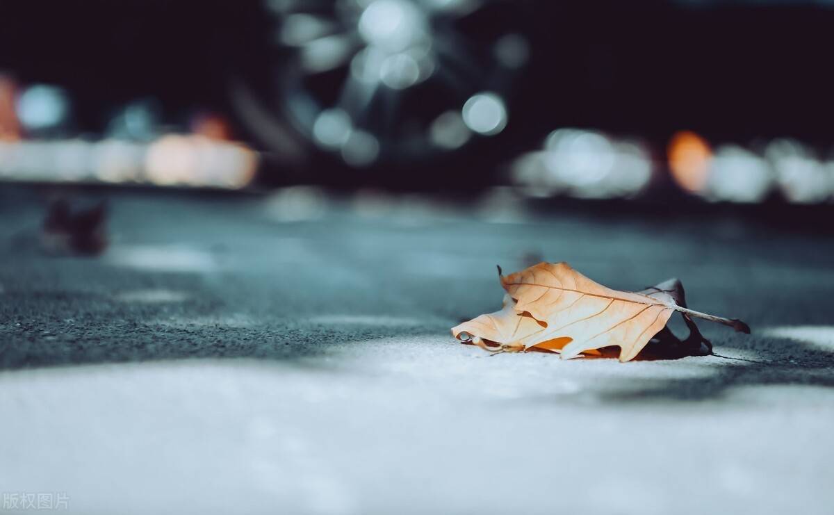 金牛女喜欢一个人的表现(金牛座爱上上你的8大征兆)