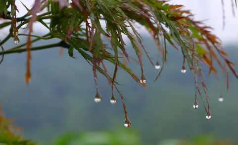 烧开的雨水可以煮饭吗