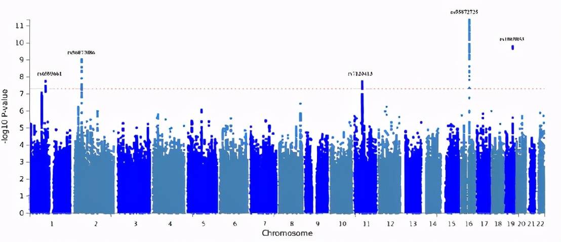 全脂牛奶和脱脂牛奶的区别(脱脂VS全脂,哪种牛奶更健康?)
