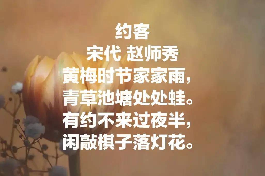 梅子时节家家雨(梅子时节家家雨一全诗)