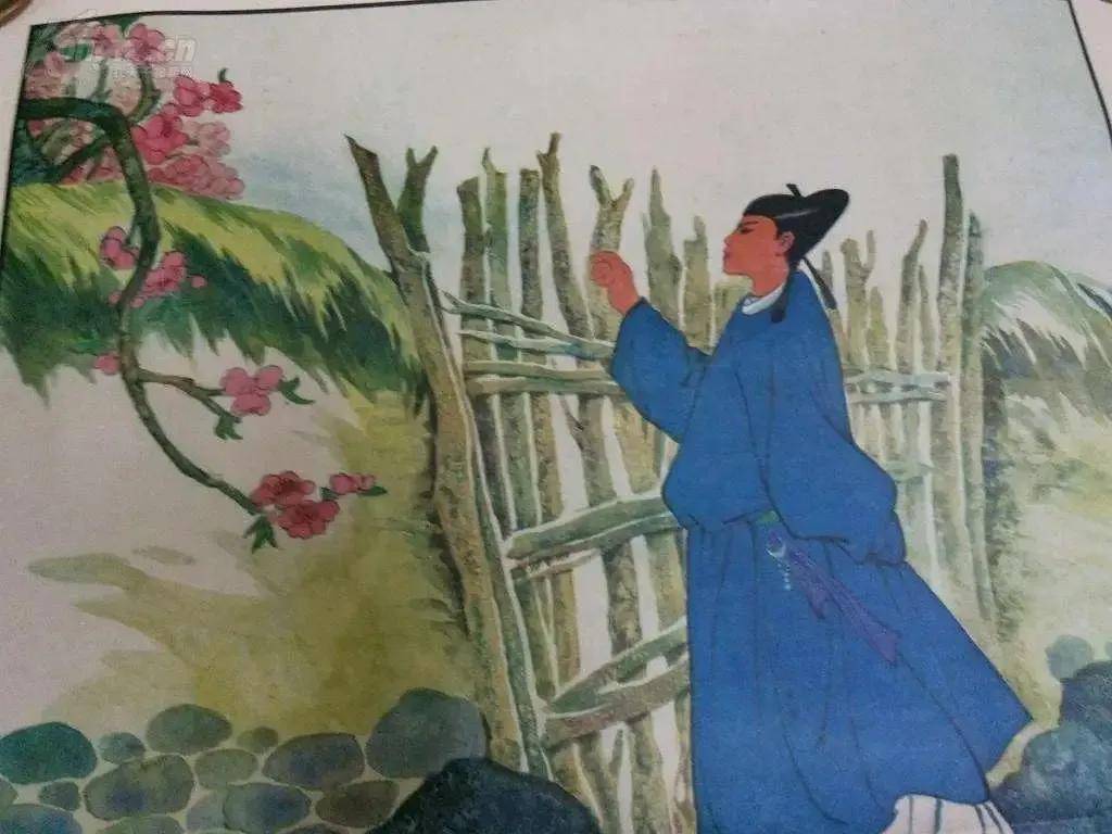 梅子时节家家雨(梅子时节家家雨一全诗)