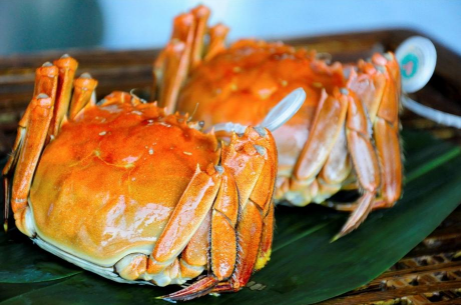 蒸大闸蟹放紫苏还放其他调料吗