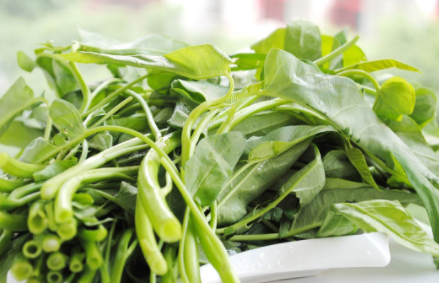 空心菜汤黑色有害吗