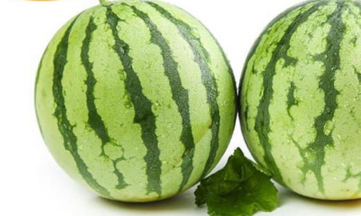 美都西瓜有籽还是无籽