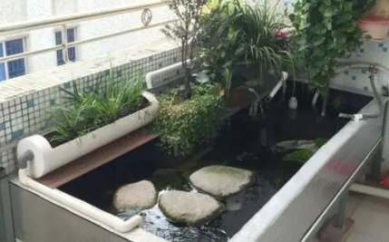 鱼缸放阳台上好不好