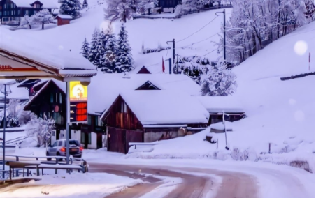 2022年四九第一天是几号