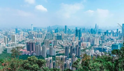 100万的房子中介费多少