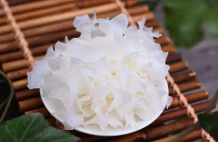 银耳买新鲜的是不是不好
