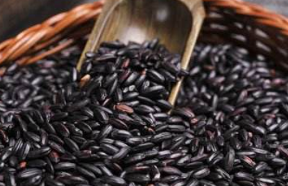 黑米掉色严重能吃吗