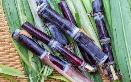 2022春节甘蔗放在门的什么地方