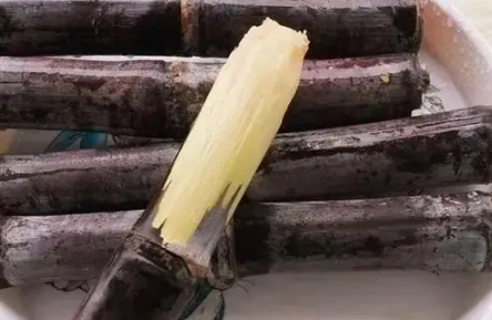 2022春节甘蔗放在门的什么地方