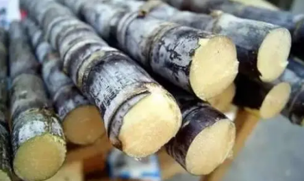 2022春节甘蔗放在门的什么地方