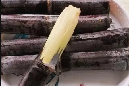 春节卖甘蔗赚钱吗