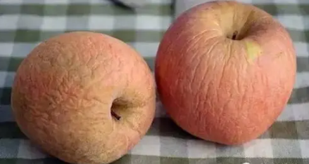 苹果冻皱了能缓过来吗