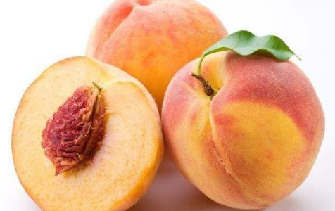 想桃子什么意思网络语