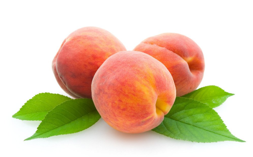 想桃子什么意思网络语