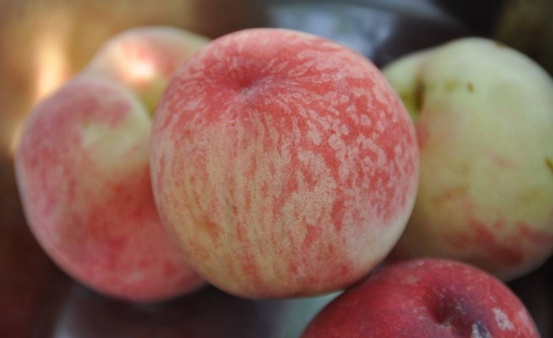 想桃子什么意思网络语