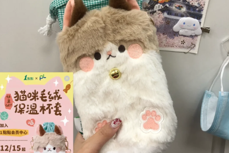 一点点猫咪毛绒保温杯套哪些城市有