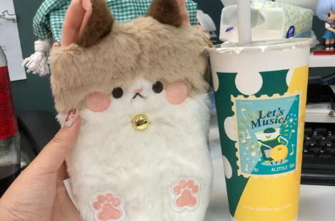 一点点猫咪毛绒保温杯套哪些城市有