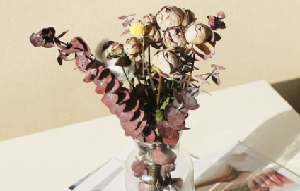 干花会不会枯萎