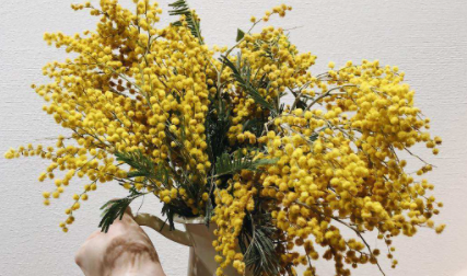 干花会不会枯萎