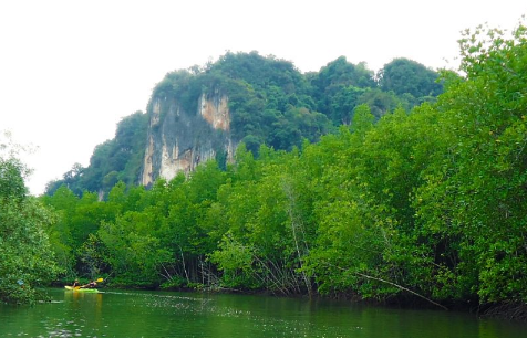 2022长沙春节期间能自由出入吗