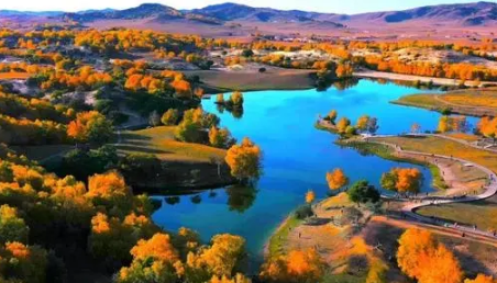 2022今年春节可以回赤峰过年吗