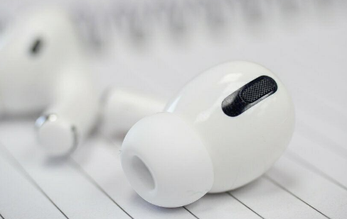 闲鱼上支持验货的苹果耳机能买吗