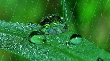 2022年雨水节气是哪一天